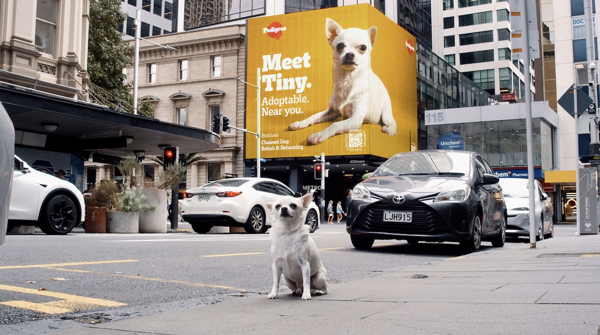 NZ scores one Yellow Pencil, one Graphite Pencil, 11 Wood Pencils at 2025 D&AD Awards; The Tuesday Club / Assembly wins Yellow Pencil for Animation